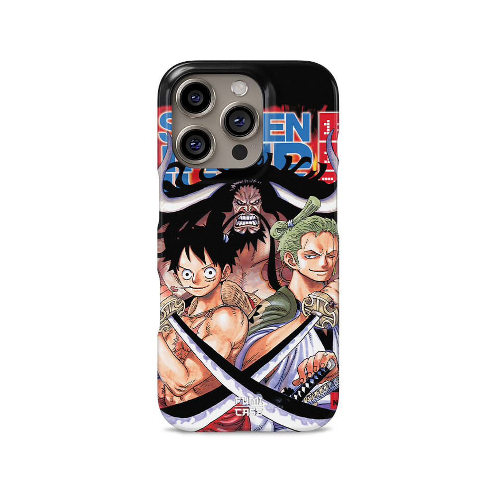 Luffy x Zoro x Kaido